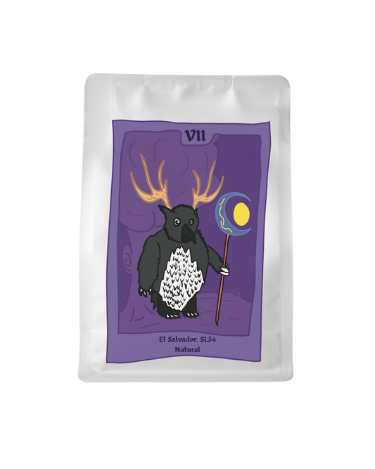 Finca El Manzano, El Salvador, Natural SL34